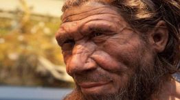 La sonrisa fue clave para tener sexo en la prehistoria