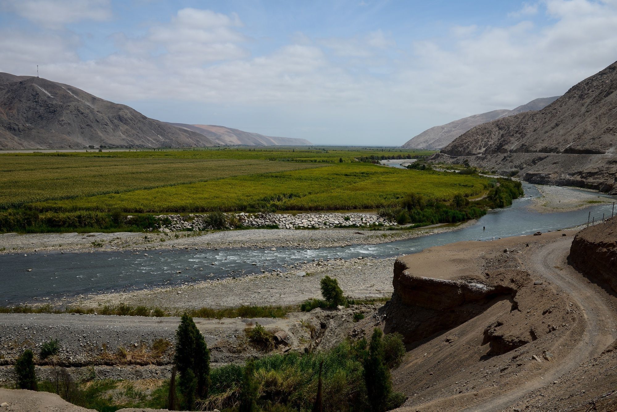 Protests in Arequipa