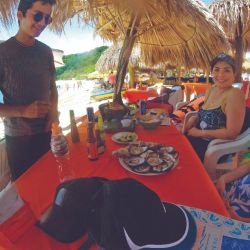 Ostiones en la playa de la isla Ixtapa.