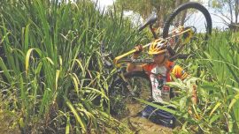 1212_entanco_bicicleta