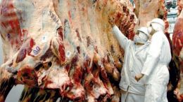 Argentina aumentó la producción y exportación de carne vacuna en la pandemia