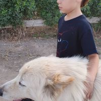 Fin de semana de Benjamín Vicuña y sus hijos