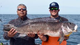 1712_salmones_mar_del_plata