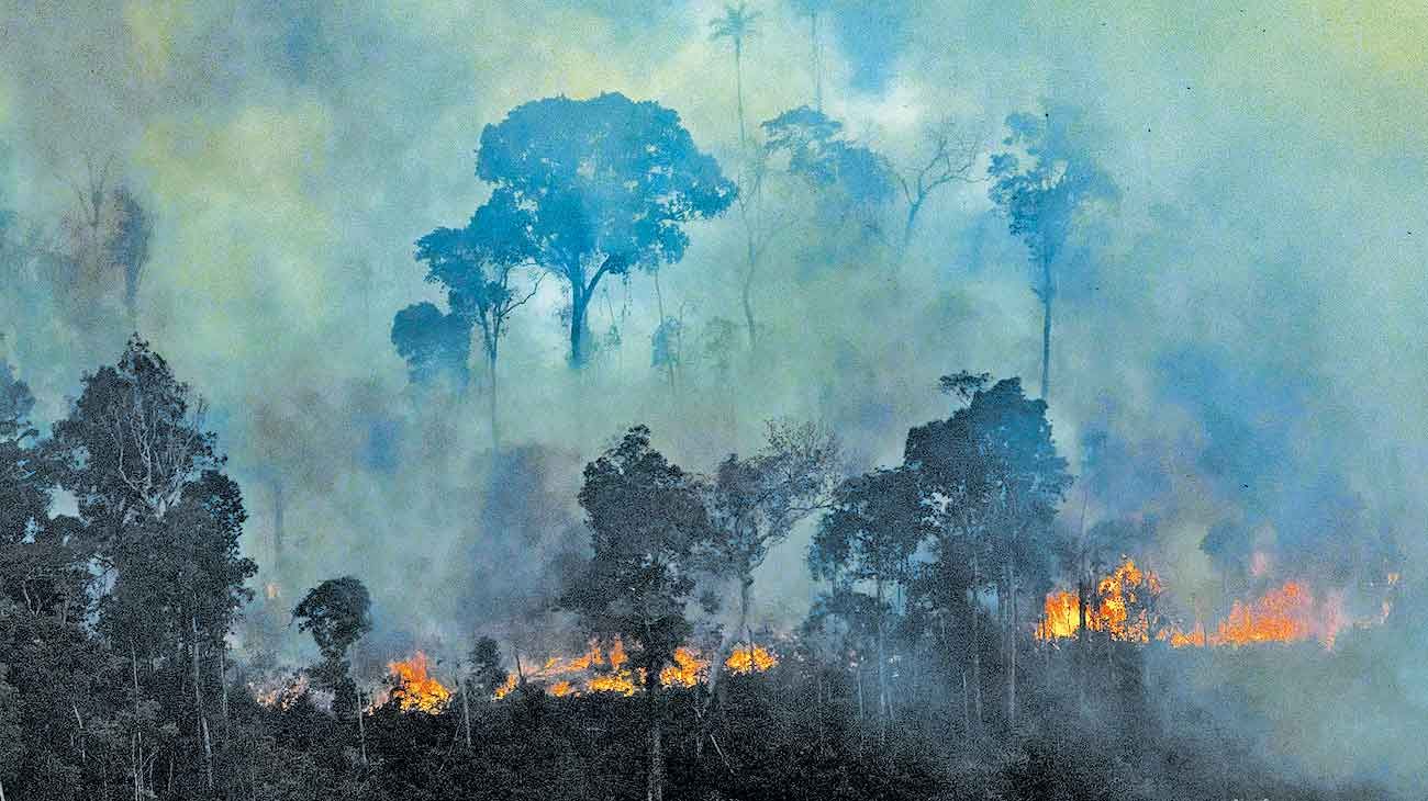 Fuego. Este año hubo incendios en Amazonas, Africa, Indonesia y Australia.