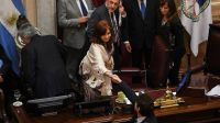 Senado. Se votó la Emergencia Económica tras una maratónica sesión.
