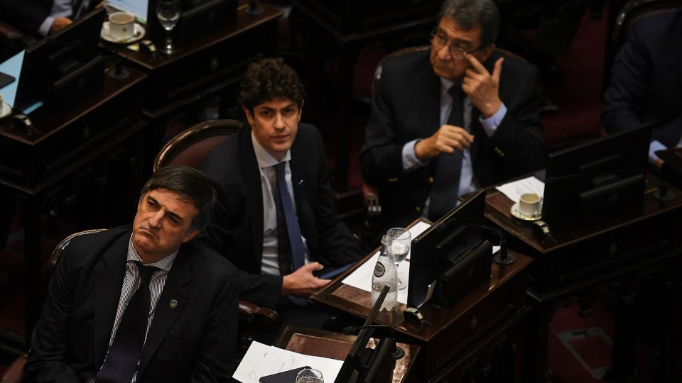Senado. Se votó la Emergencia Económica tras una maratónica sesión.