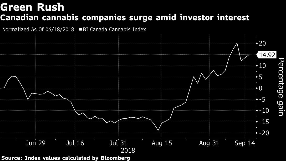 Canadian cannabis companies surge amid investor interest