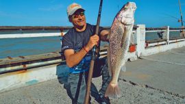 2612_cinco_muelles_partido_de_la_costa