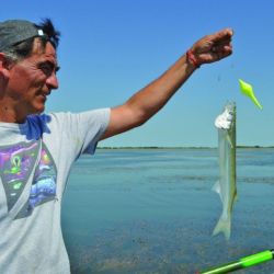 Actualmente la laguna Los Horcones es uno de los mejores ámbitos cercanos a la costa.