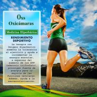 Oxicamaras