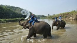 Turismo animal elefantes tailandia