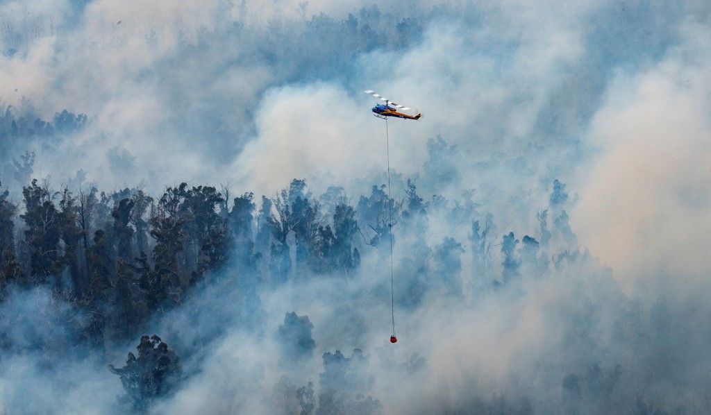 Al menos 20 personas murieron, decenas están desaparecidas y más de 1.300 casas quedaron reducidas a cenizas desde el comienzo de la temporada de incendios en septiembre. Hasta ahora, ardió una superficie equivalente al doble de Bélgica.