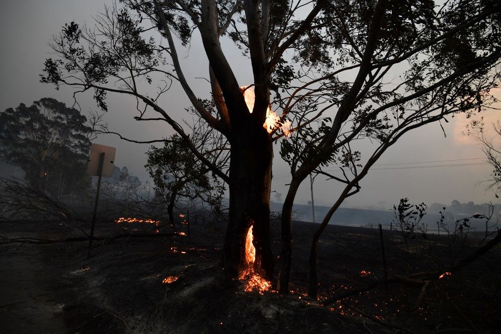 Al menos 20 personas murieron, decenas están desaparecidas y más de 1.300 casas quedaron reducidas a cenizas desde el comienzo de la temporada de incendios en septiembre. Hasta ahora, ardió una superficie equivalente al doble de Bélgica.