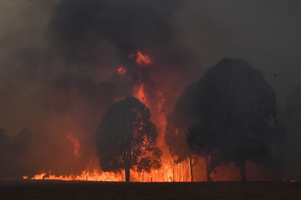 Al menos 20 personas murieron, decenas están desaparecidas y más de 1.300 casas quedaron reducidas a cenizas desde el comienzo de la temporada de incendios en septiembre. Hasta ahora, ardió una superficie equivalente al doble de Bélgica.