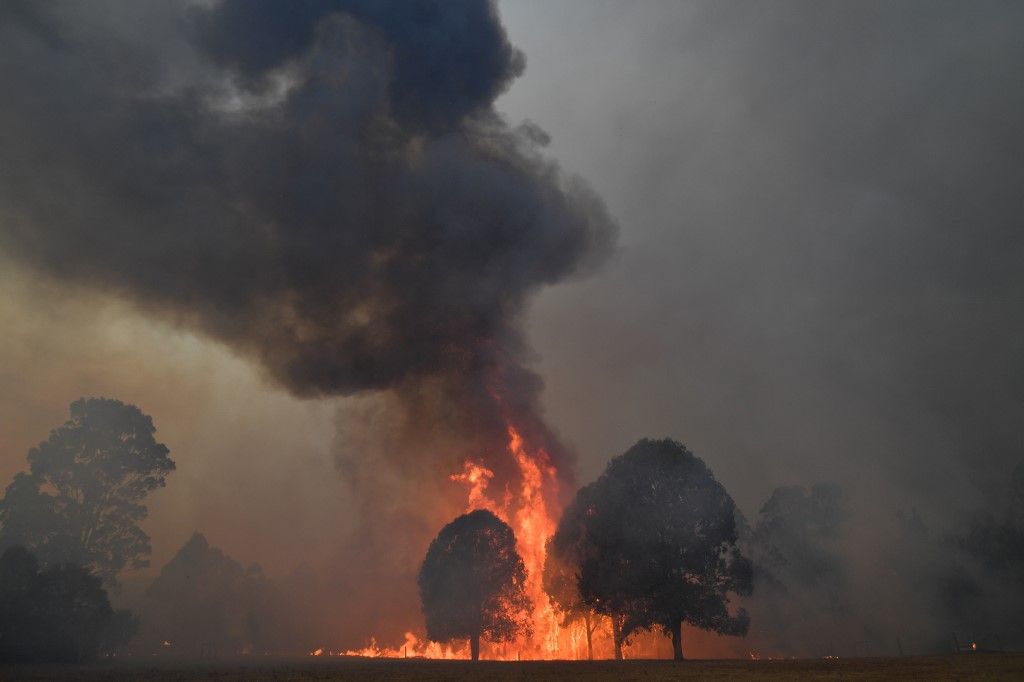 Al menos 20 personas murieron, decenas están desaparecidas y más de 1.300 casas quedaron reducidas a cenizas desde el comienzo de la temporada de incendios en septiembre. Hasta ahora, ardió una superficie equivalente al doble de Bélgica.