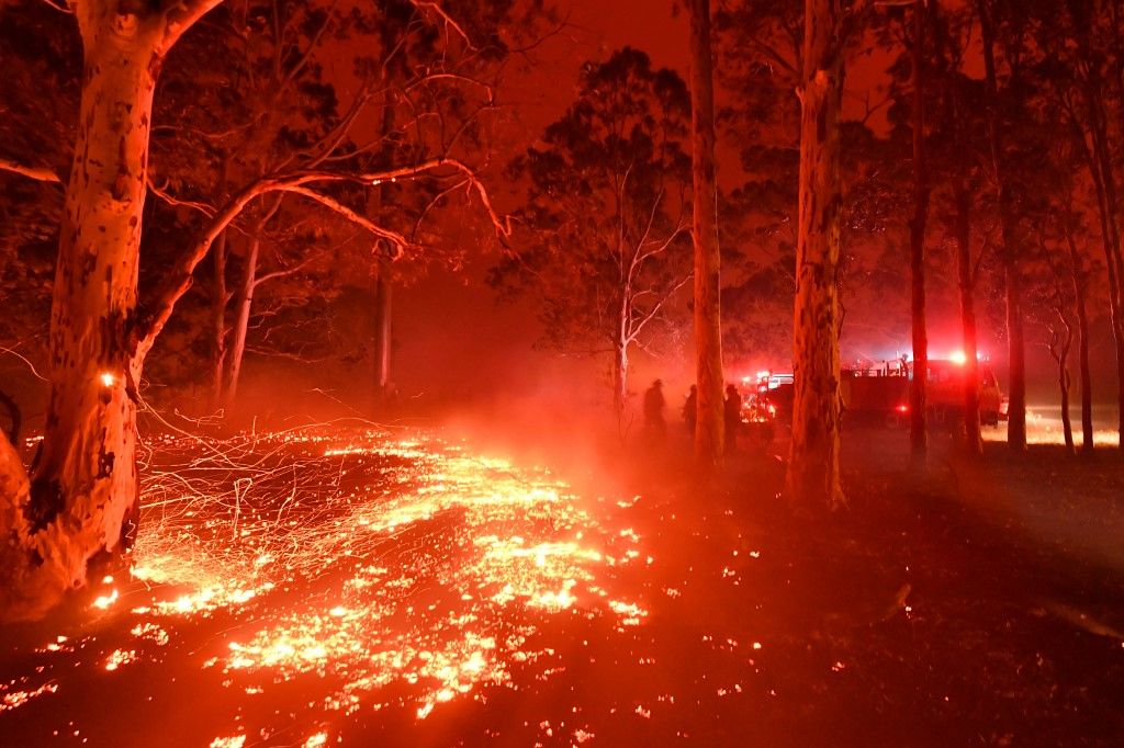 Al menos 20 personas murieron, decenas están desaparecidas y más de 1.300 casas quedaron reducidas a cenizas desde el comienzo de la temporada de incendios en septiembre. Hasta ahora, ardió una superficie equivalente al doble de Bélgica.