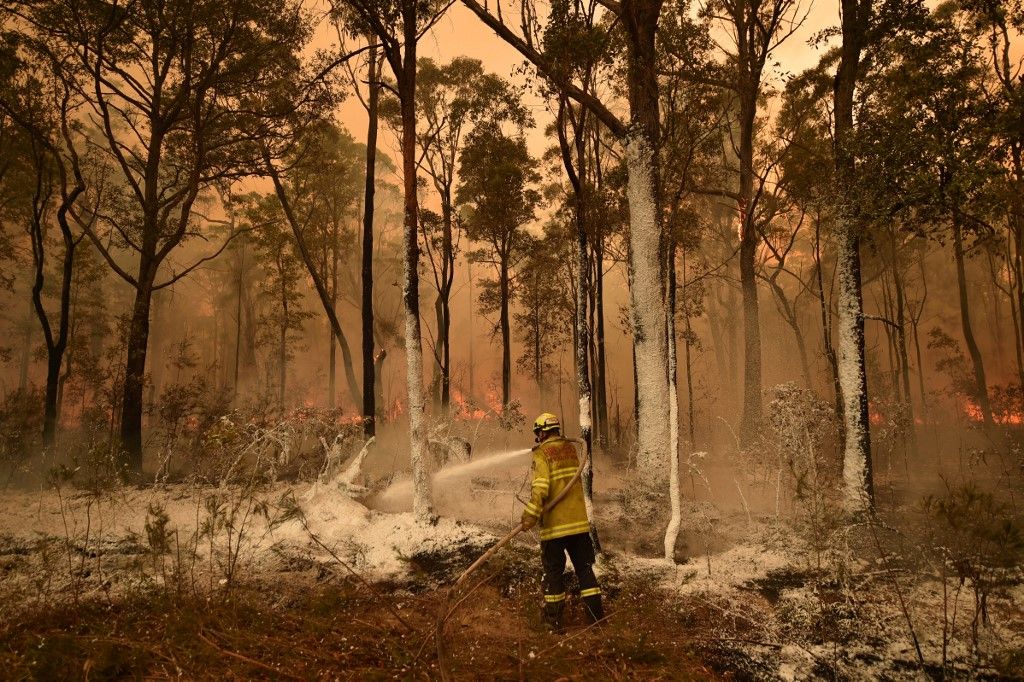 Al menos 20 personas murieron, decenas están desaparecidas y más de 1.300 casas quedaron reducidas a cenizas desde el comienzo de la temporada de incendios en septiembre. Hasta ahora, ardió una superficie equivalente al doble de Bélgica.