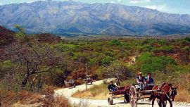 Propuestas diferentes para conocer la zona de una forma slow.