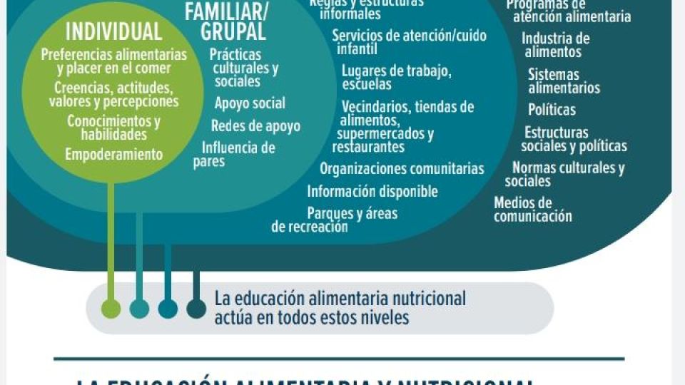 Eeducación alimentaria