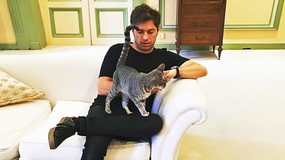 20200501_kicillof_gato_instagram_g.jpg