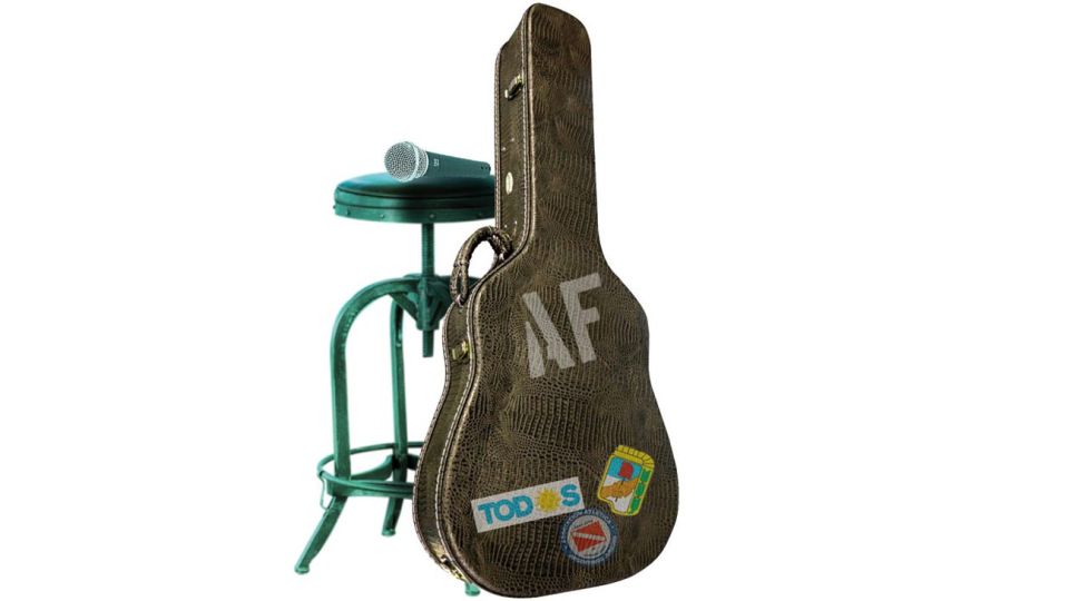 20200501_guitar_case_af_temes_g.jpg