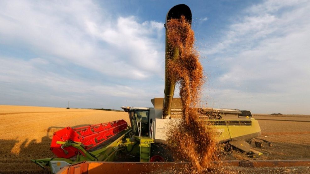 ACOPIADORES. Las retenciones subirán 125% para los cereales y 34% para la soja.