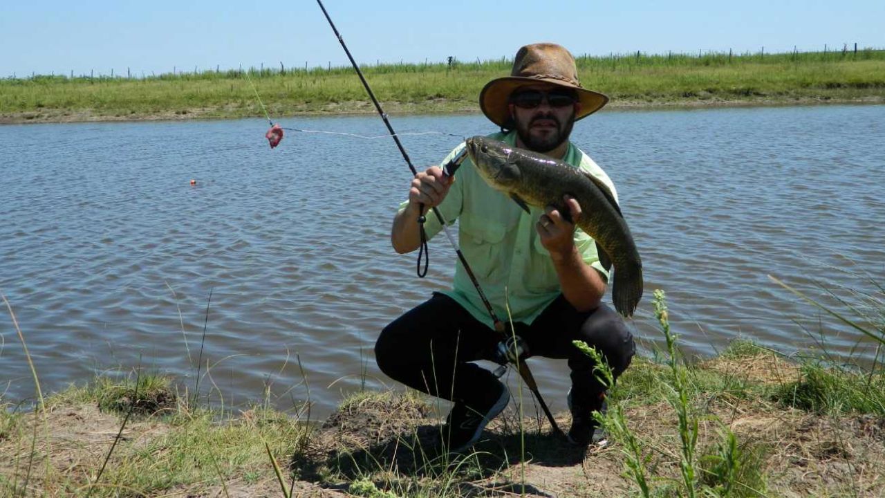 El arroyo El Gaucho nos sorprendió con sus súper tarariras Weekend