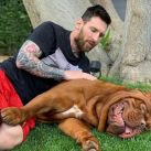 La foto viral de "Hulk", el perro de Messi