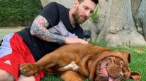 La foto viral de "Hulk", el perro de Messi