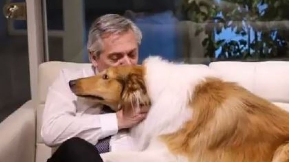 Alberto Fernández y su perro Dylan