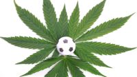 Cannabis y futbol 20200107