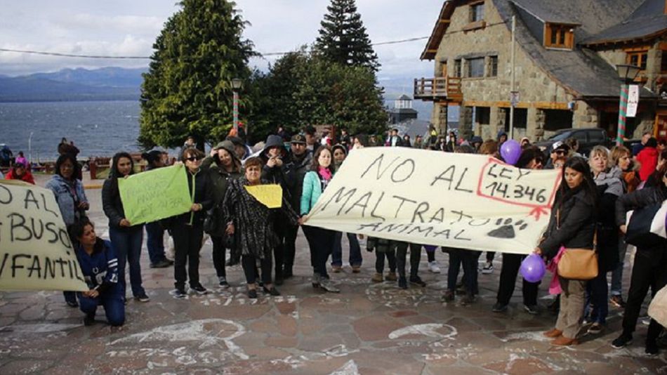 bariloche perros abuso