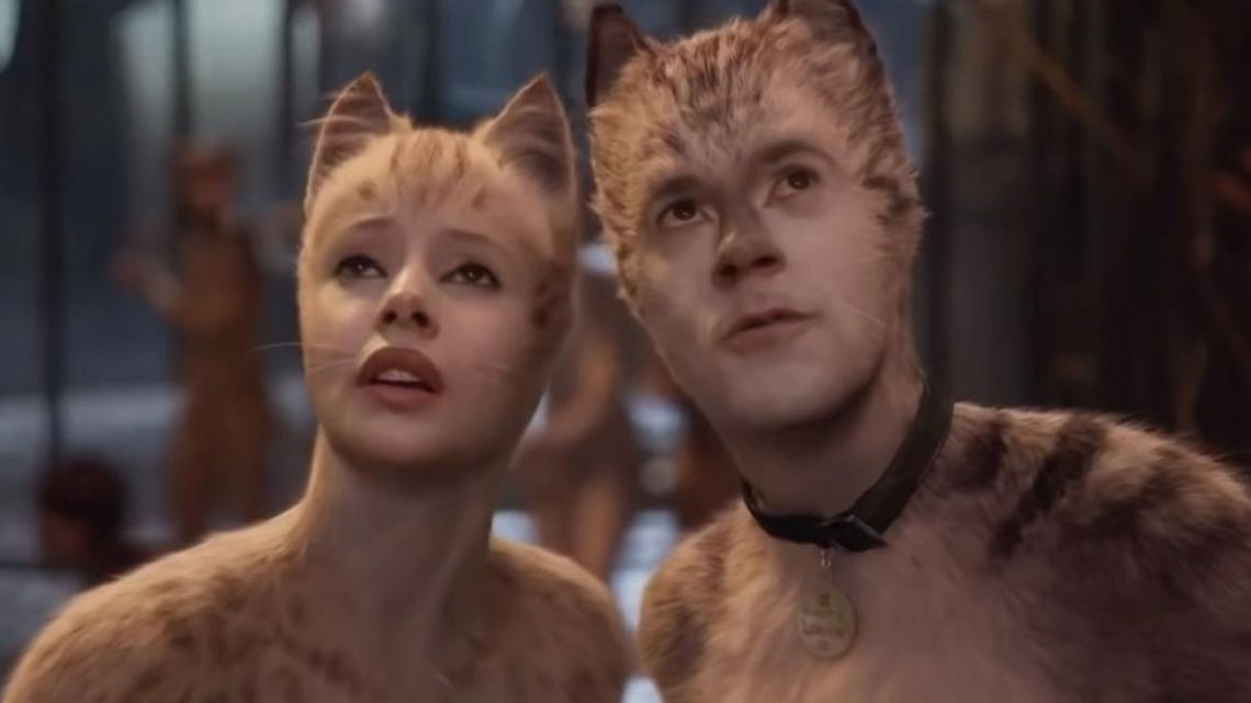 Cats | Foto:Cedoc