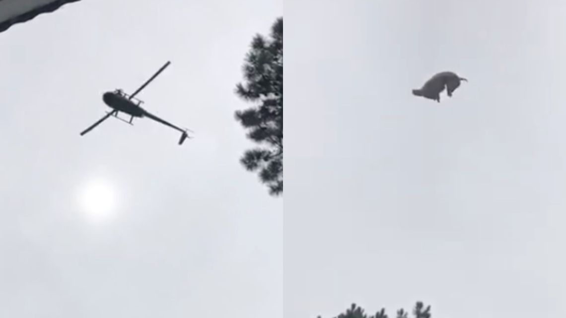 El momento en el que arrojan el chancho del helicóptero. | Foto:Cedoc.
