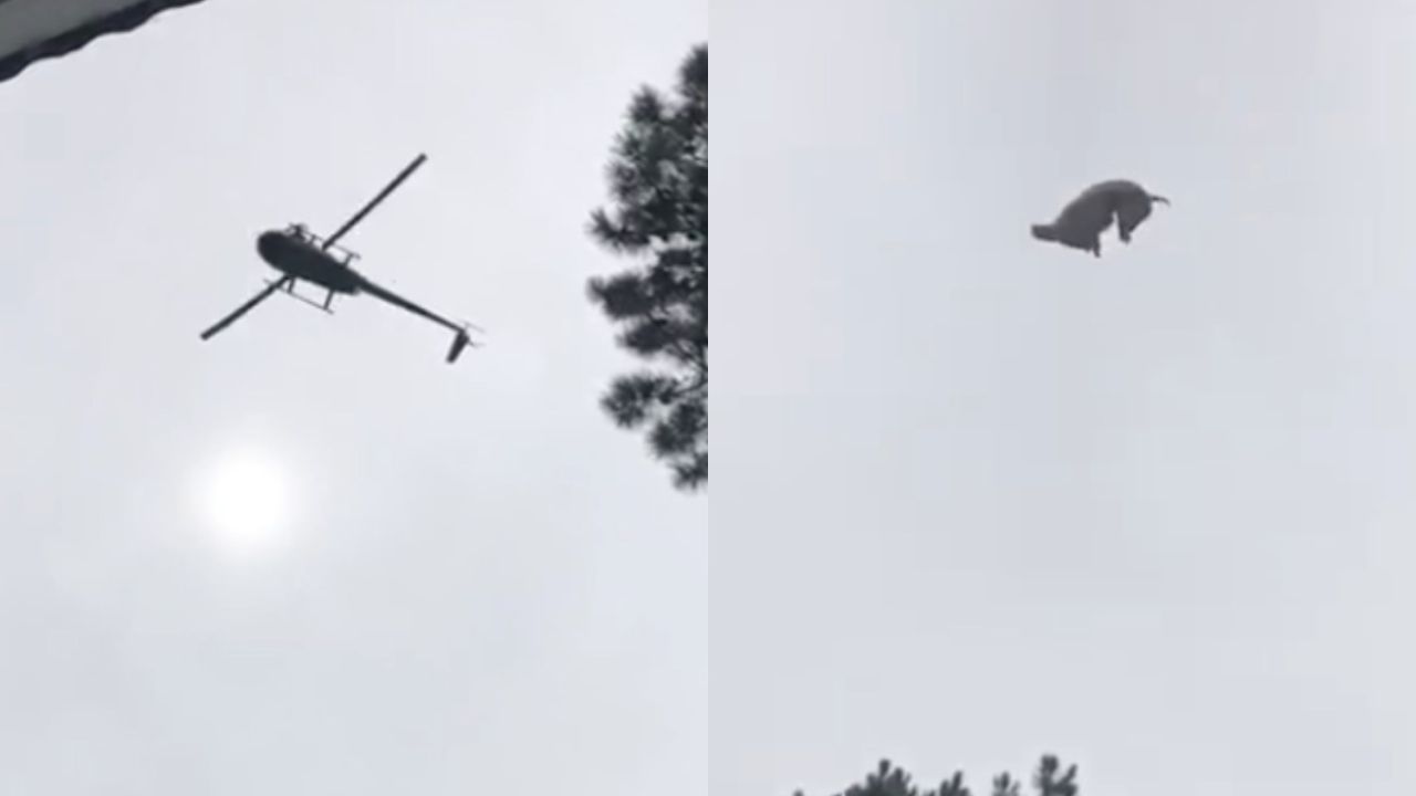 El momento en el que arrojan el chancho del helicóptero. | Foto:Cedoc.