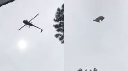 El momento en el que el cerdo es tirado del helicóptero
