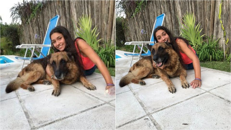 perro twitter 2 15012020