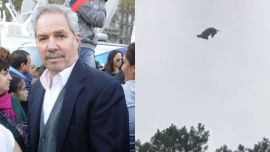 Felipe Solá se metió en el debate del cerdo tirado a la pileta