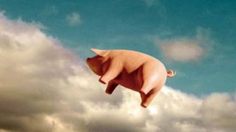 chancho volador 15012020