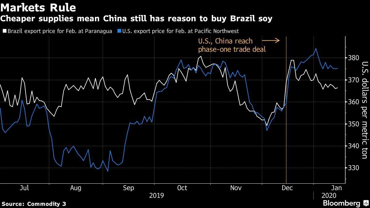 Cheaper supplies mean China still has reason to buy Brazil soy