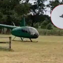 El helicóptero de donde arrojaron el animal
