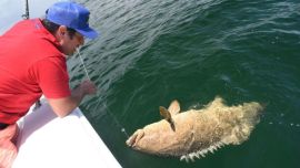 La ASA confirmó que la industria del aire libre crece a un porcentaje mayor que la economía global del país.