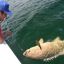 1601_pesca_negocio