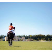 Haras del Sur