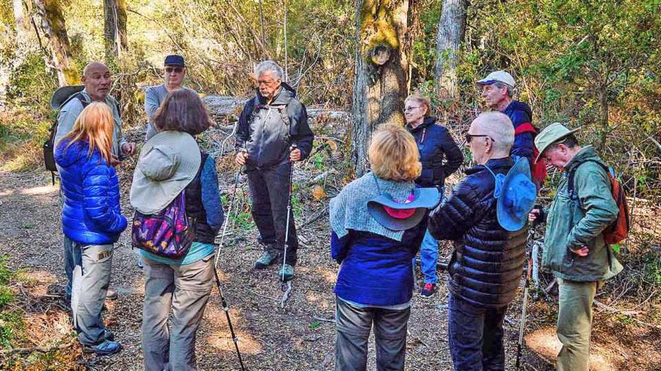 En grupo. La recorrida por los bosques en Villa La Angostura incluye momentos de reflexión colectiva. Van guiados por Juan Aubert. Las técnicas incluyen conectarse con los árboles.