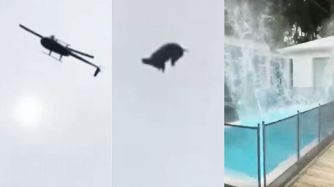 20201901_cordero_helicoptero_pileta_cedoc_g.jpg