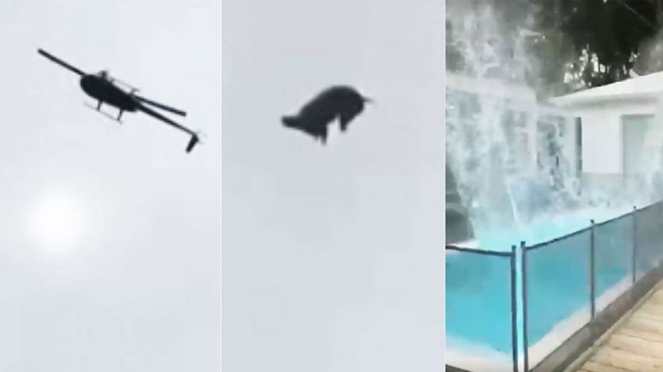 Cordero. El episodio del animal expone la manera diferencial en la que se van tratando los temas.