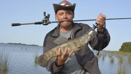 En El Burro están saliendo hermosas taruchas.