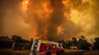 Firefighters Continue To Battle Bushfires As Catastrophic Fire Danger Warning Is Issued In NSW