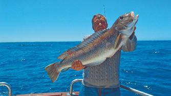 Mar del Plata siempre nos sorprende con sus salmones